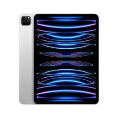 iPad Pro 11 (4th) Battery Repair